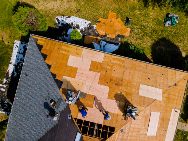 Best Emergency Roof Repair  in New Hope, AL
