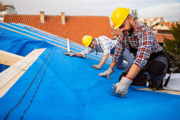 Roof Gutter Cleaning in New Hope, AL